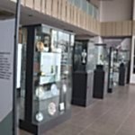 Sancaktepe Cimnastik Eğitim Merkezi