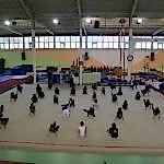 Cemal Alpman Cimnastik Salonu