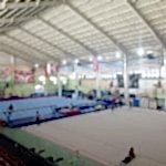 Cemal Alpman Cimnastik Salonu