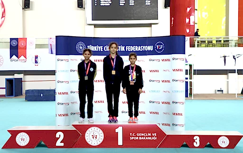 kucuk-kadinlar-genel-tasnif(3)